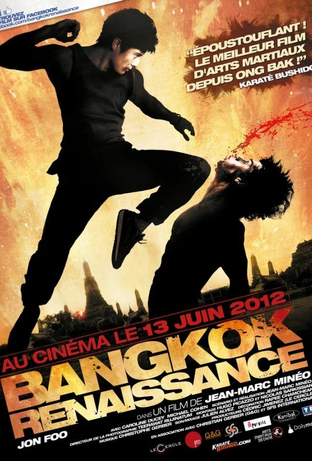 Смотреть Фильм Перерождение(2011) бесплатно