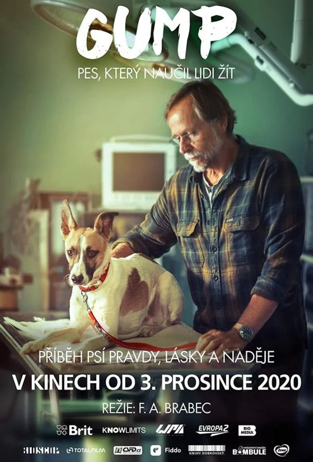 Смотреть Фильм Гамп — пёс, который научил людей жить(2021) бесплатно