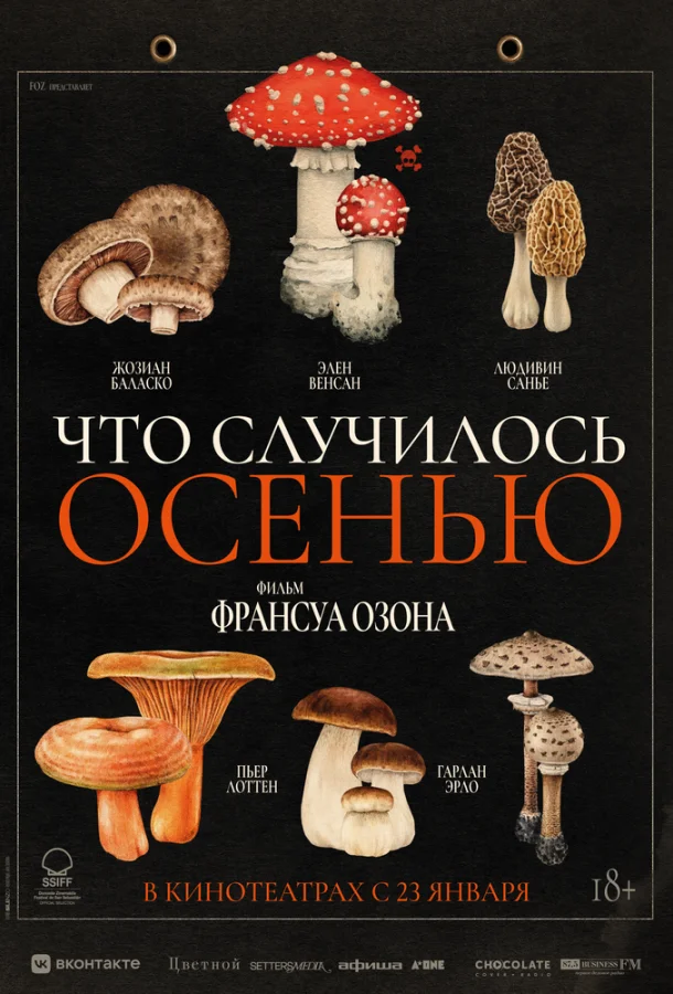 Смотреть Фильм Что случилось осенью(2024) бесплатно