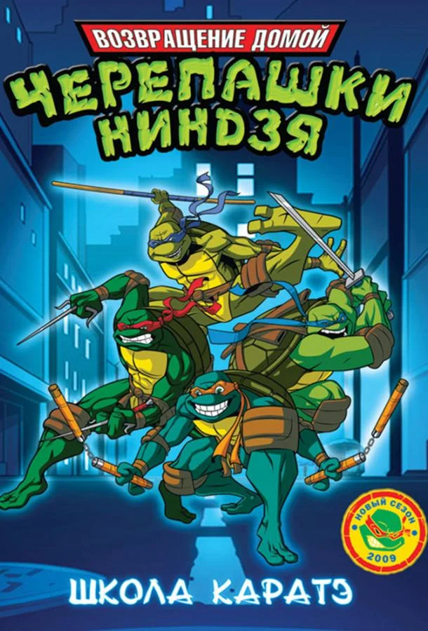 Смотреть Мультсериал Мутанты черепашки ниндзя. Новые приключения!(2003) бесплатно